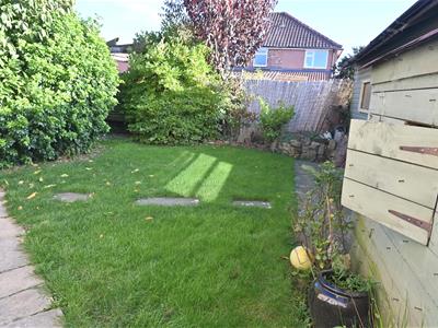 Picture 15